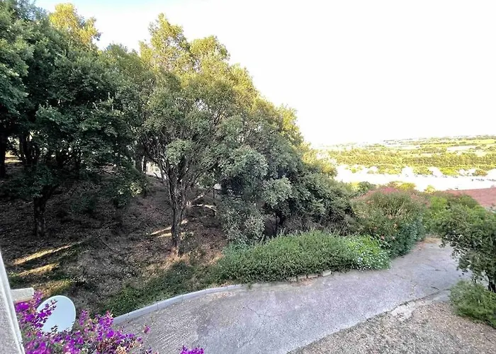 Appartement Casarella Bulle De Paix En Corse Entre Terre Et *